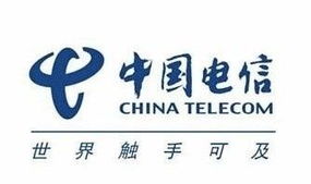 中國電信新一輪機(jī)構(gòu)改革 地級市公司邁向銷售服務(wù)新定位